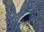 2005 Dodge Caravan SXT z VIN 2D8GP44L45R508766, wystawiony jako Copart lot #89827425 z przebiegiem Nie podano mil oraz Szkoda całkowita • Salvage title. Historia ofert i sprzedaży dostępna na DreamBid. Obrazek 13.