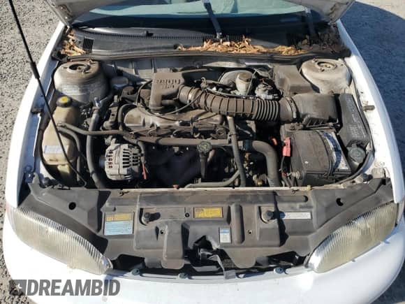 1999 Chevrolet Cavalier с VIN 1G1JC1249X7138423, выставлен на аукционе Copart как лот 85481774 с пробегом Не указан миль и Списание • Salvage title. История ставок и продаж доступна на DreamBid. Изображение 12.