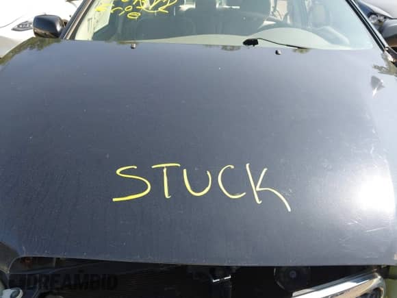 2008 Toyota Corolla CE with VIN 2T1BR32E98C893277, listed as a IAAI auction lot 42364372 with Not provided miles and . Bid and sale history available at DreamBid. Image 10.