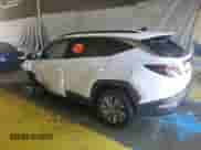 2024 Hyundai Tucson Blue with VIN KM8JBCD14RU210816, listed as a Copart auction lot 70341505 with Not provided miles and Clean title. Bid and sale history available at DreamBid. Image 2.