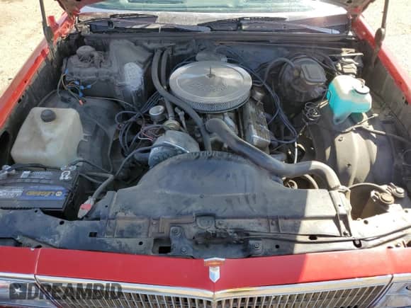 1980 Chevrolet El Camino with VIN 1W80JAR406857, listed as a Copart auction lot 50603845 with 21,815 mi miles and Salvage title. Bid and sale history available at DreamBid. Image 11.