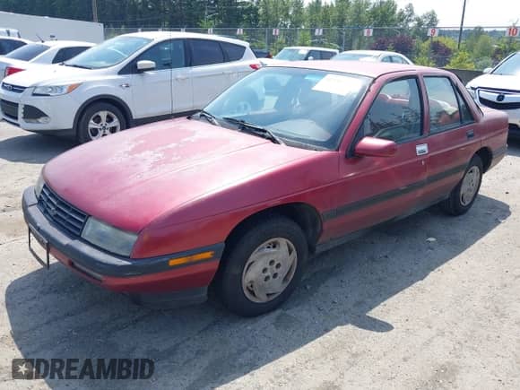1993 Chevrolet Corsica LT с VIN 1G1LT53T6PY186719, выставлен на аукционе IAAI как лот 42536533 с пробегом 284 876 миль миль и . История ставок и продаж доступна на DreamBid. Изображение 2.