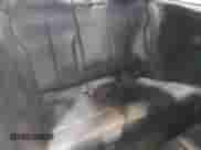 2014 BMW 4 Series 435i xDrive с VIN WBA3R5C54EK186187, выставлен на аукционе IAAI как лот 42248064 с пробегом 73 532 миль миль и . История ставок и продаж доступна на DreamBid. Изображение 8.