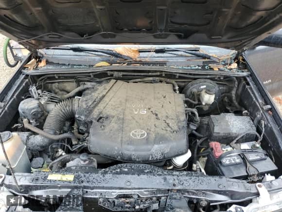 2014 Toyota Tacoma PreRunner with VIN 3TMKU4HN1EM038779, listed as a Copart auction lot 81866785 with 215,853 mi miles and Salvage title. Bid and sale history available at DreamBid. Image 11.