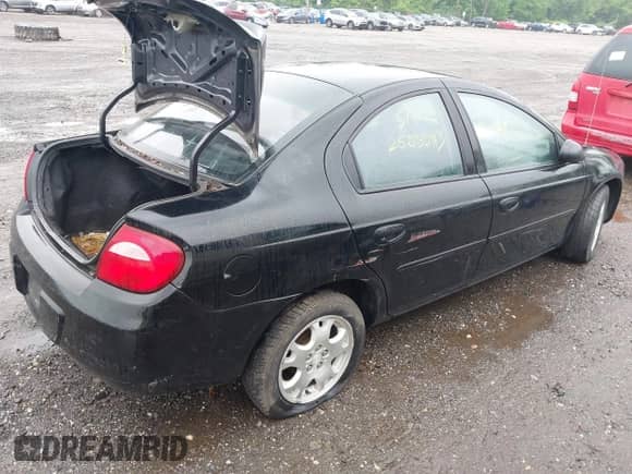 2003 Dodge Neon SXT with VIN 1B3ES56C03D167357, listed as a IAAI auction lot 42386907 with Not provided miles and . Bid and sale history available at DreamBid. Image 4.