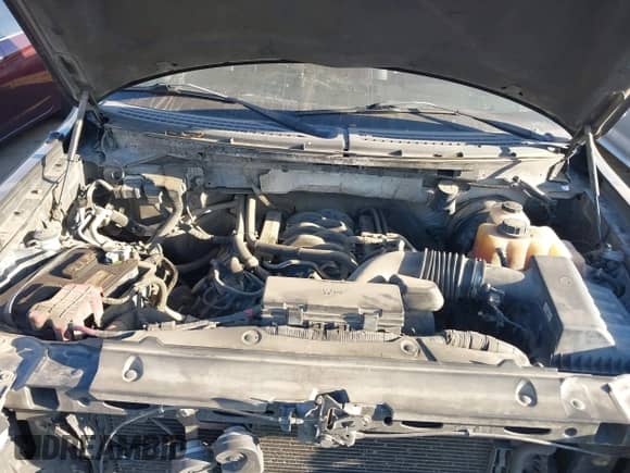 2012 Ford F-150 FX2 with VIN 1FTFW1CFXCFC56095, listed as a IAAI auction lot 43481189 with 218,532 mi miles and . Bid and sale history available at DreamBid. Image 10.