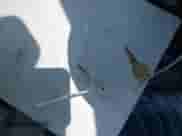 1992 Chevrolet Silverado 1500 с VIN 1GCDC14H1NZ202055, выставлен на аукционе IAAI как лот 42547889 с пробегом 179 984 миль миль и . История ставок и продаж доступна на DreamBid. Изображение 11.