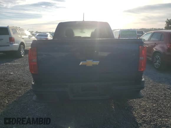 2016 Chevrolet Colorado 2WD WT with VIN 1GCGSBE31G1176969, listed as a Copart auction lot 80727465 with 50,251 mi miles and Salvage title. Bid and sale history available at DreamBid. Image 6.