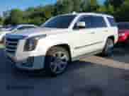 2016 Cadillac Escalade Luxury Collection with VIN 1GYS4BKJ9GR176530, listed as a IAAI auction lot 42796968 with Not provided miles and . Bid and sale history available at DreamBid. Image 2.