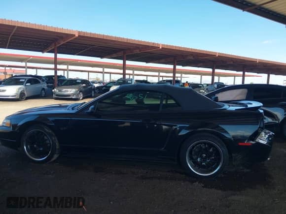 2000 Ford Mustang GT с VIN 1FAFP45X0YF268144, выставлен на аукционе IAAI как лот 43101059 с пробегом 71 791 миль миль и . История ставок и продаж доступна на DreamBid. Изображение 14.