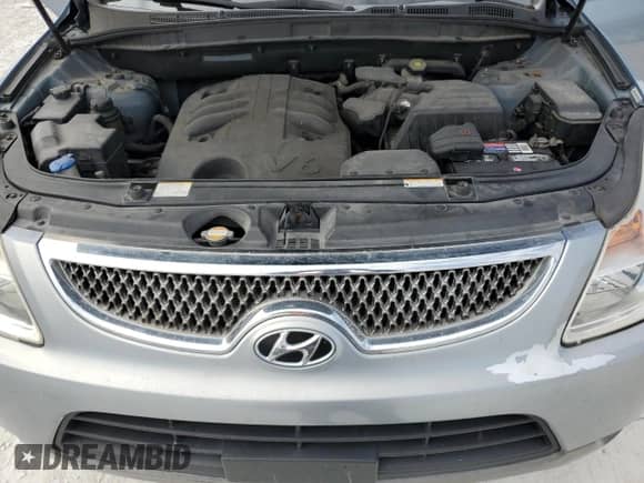 2008 Hyundai Veracruz GLS с VIN KM8NU73C58U076886, выставлен на аукционе Copart как лот 88810535 с пробегом 209 032 миль миль и Чистый • Clean title. История ставок и продаж доступна на DreamBid. Изображение 12.