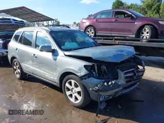 2007 Hyundai Santa Fe SE with VIN 5NMSH73E07H032197, listed as a IAAI auction lot 43068795 with 166,632 mi miles and . Bid and sale history available at DreamBid. Image 1.
