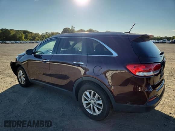 2017 Kia Sorento LX with VIN 5XYPGDA54HG223935, listed as a Copart auction lot 84562115 with 238,891 mi miles and Salvage title. Bid and sale history available at DreamBid. Image 2.