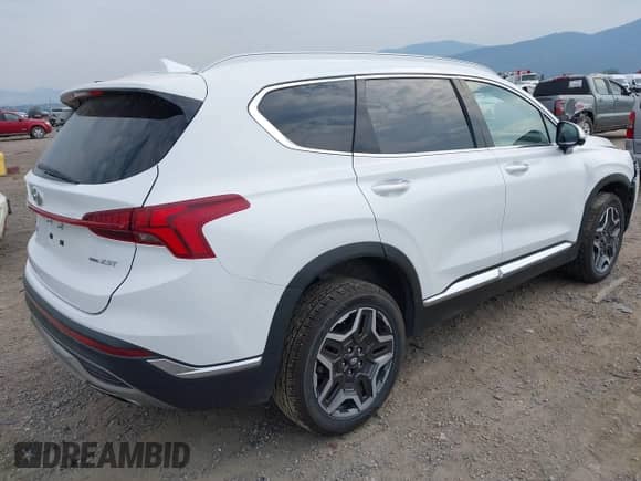2023 Hyundai Santa Fe Limited с VIN 5NMS4DAL6PH517178, выставлен на аукционе IAAI как лот 43081881 с пробегом 71 249 миль миль и . История ставок и продаж доступна на DreamBid. Изображение 4.
