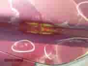 2006 Honda Pilot EX-L с VIN 5FNYF18506B004681, выставлен на аукционе IAAI как лот 43494842 с пробегом 186 397 миль миль и . История ставок и продаж доступна на DreamBid. Изображение 14.