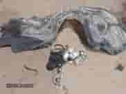 2013 Chrysler 300 C z VIN 2C3CCAKT5DH667072, wystawiony jako IAAI lot #41551843 z przebiegiem 181 649 mil mil oraz . Historia ofert i sprzedaży dostępna na DreamBid. Obrazek 12.