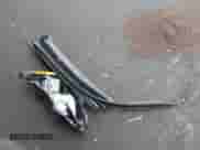 2021 Chevrolet Spark 1LT с VIN KL8CD6SA1MC217242, выставлен на аукционе IAAI как лот 43454965 с пробегом 65 046 миль миль и . История ставок и продаж доступна на DreamBid. Изображение 12.