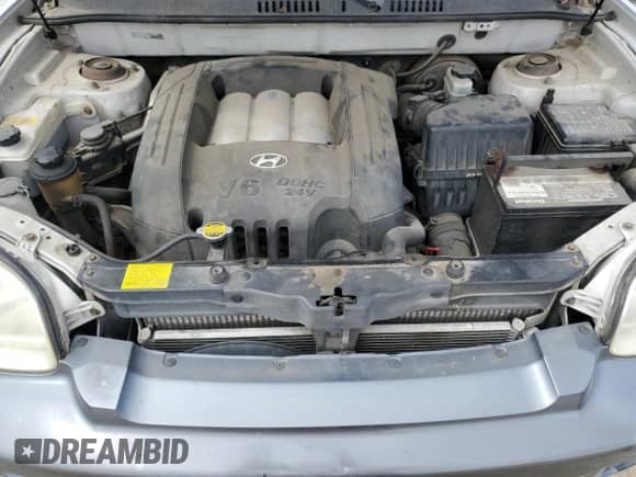 2003 Hyundai Santa Fe GLS z VIN KM8SC13D53U443659, wystawiony jako Copart lot #53134615 z przebiegiem 243 065 mil mil oraz Szkoda całkowita • Salvage title. Historia ofert i sprzedaży dostępna na DreamBid. Obrazek 13.