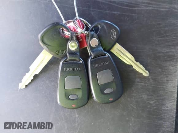 2002 Hyundai Santa Fe GLS с VIN KM8SC73D82U294374, выставлен на аукционе IAAI как лот 41204011 с пробегом 179 219 миль миль и . История ставок и продаж доступна на DreamBid. Изображение 11.