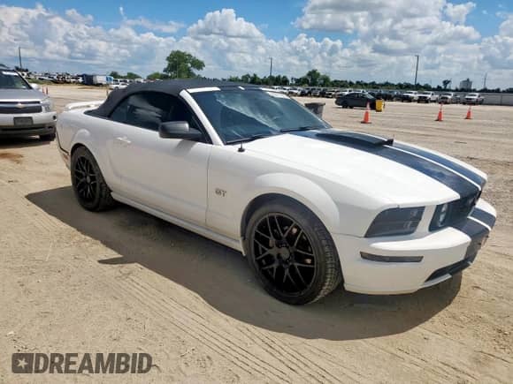 2005 Ford Mustang GT Deluxe z VIN 1ZVHT85H255211280, wystawiony jako Copart lot #69271235 z przebiegiem 109 841 mil mil oraz Czysty tytuł • Clean title. Historia ofert i sprzedaży dostępna na DreamBid. Obrazek 4.