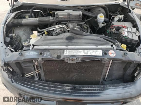 2001 Dodge 1500 с VIN 1B7HC16Z11S719835, выставлен на аукционе Copart как лот 67460435 с пробегом 120 095 миль миль и Списание • Salvage title. История ставок и продаж доступна на DreamBid. Изображение 11.