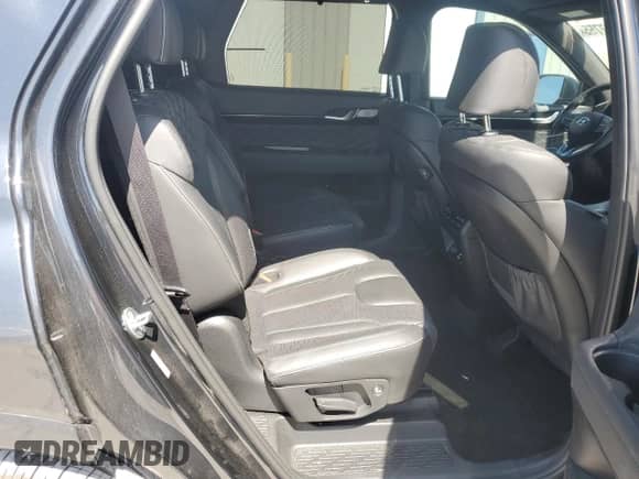 2022 Hyundai Palisade Calligraphy with VIN KM8R74HE8NU422006, listed as a Copart auction lot 53387755 with 46,558 mi miles and Salvage title. Bid and sale history available at DreamBid. Image 11.