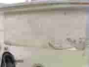 1992 Chevrolet Silverado 1500 с VIN 1GCDC14Z6NE231518, выставлен на аукционе IAAI как лот 42680199 с пробегом 177 879 миль миль и . История ставок и продаж доступна на DreamBid. Изображение 9.