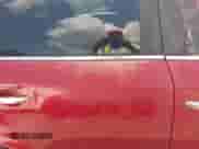 2012 Chevrolet Captiva Sport LT с VIN 3GNAL3E57CS612962, выставлен на аукционе IAAI как лот 42442128 с пробегом 245 432 миль миль и . История ставок и продаж доступна на DreamBid. Изображение 6.