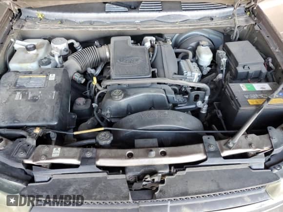 2002 Chevrolet TrailBlazer LS with VIN 1GNDS13S522504024, listed as a Copart auction lot 84832035 with 161,869 mi miles and Salvage title. Bid and sale history available at DreamBid. Image 12.
