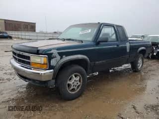 1995 Dodge Dakota z VIN 1B7GG23Y8SS291667, wystawiony jako Copart lot #81035424 z przebiegiem 241 153 mil mil oraz Czysty tytuł • Clean title. Historia ofert i sprzedaży dostępna na DreamBid. Obrazek 1.