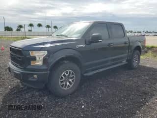2016 Ford F-150 XLT z VIN 1FTEW1EF4GFB49381, wystawiony jako Copart lot #80853215 z przebiegiem 135 488 mil mil oraz Szkoda całkowita • Salvage title. Historia ofert i sprzedaży dostępna na DreamBid. Obrazek 1.