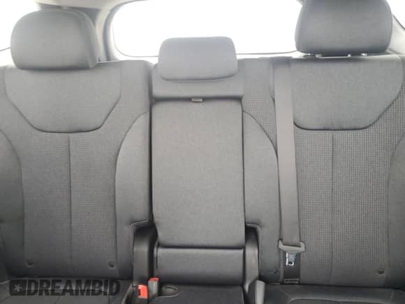 2020 Hyundai Santa Fe SE with VIN 5NMS23AD2LH150380, listed as a Copart auction lot 69992685 with 103,933 mi miles and Salvage title. Bid and sale history available at DreamBid. Image 10.