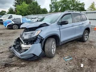 2023 Honda Passport TrailSport с VIN 5FNYF8H63PB022336, выставлен на аукционе Copart как лот 63269705 с пробегом Не указан миль и Списание • Salvage title. История ставок и продаж доступна на DreamBid. Изображение 1.