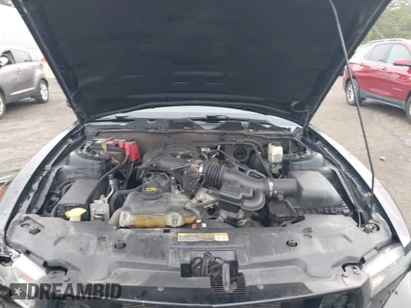 2012 Ford Mustang Premium with VIN 1ZVBP8AM7C5261635, listed as a IAAI auction lot 42981208 with 123,330 mi miles and . Bid and sale history available at DreamBid. Image 10.