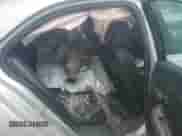 2013 Chevrolet Malibu LTZ с VIN 1G11H5SA6DF146284, выставлен на аукционе Copart как лот 80020345 с пробегом 126 882 миль миль и Списание • Salvage title. История ставок и продаж доступна на DreamBid. Изображение 10.