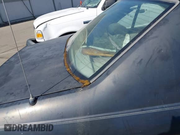 1990 BMW 7 Series with VIN WBAGC4313LDC24751, listed as a IAAI auction lot 42922461 with 221,464 mi miles and . Bid and sale history available at DreamBid. Image 14.