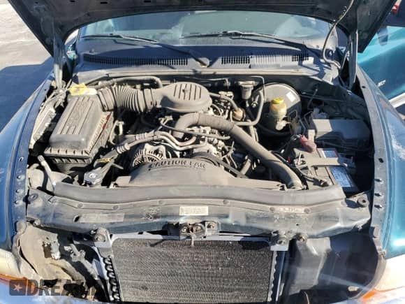 1997 Dodge Dakota with VIN 1B7GG23Y8VS303577, listed as a Copart auction lot 48778865 with 189,316 mi miles and Salvage title. Bid and sale history available at DreamBid. Image 11.