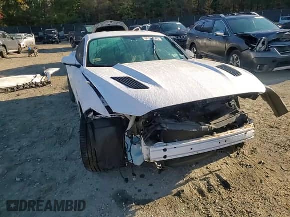2015 Ford Mustang GT with VIN 1FA6P8CF0F5308338, listed as a Copart auction lot 86191545 with Not provided miles and Salvage title. Bid and sale history available at DreamBid. Image 14.