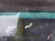 1993 Honda Accord LX z VIN JHMCB7650PC005838, wystawiony jako IAAI lot #42861998 z przebiegiem 217 028 mil mil oraz . Historia ofert i sprzedaży dostępna na DreamBid. Obrazek 9.