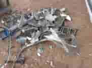 2018 Jeep Grand Cherokee Altitude с VIN 1C4RJEAG1JC513349, выставлен на аукционе IAAI как лот 41408487 с пробегом 172 216 миль миль и . История ставок и продаж доступна на DreamBid. Изображение 12.