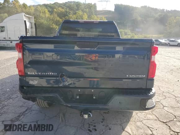 2020 Chevrolet Silverado 1500 Custom with VIN 1GCRYBEH7LZ188218, listed as a Copart auction lot 80005385 with 44,148 mi miles and Salvage title. Bid and sale history available at DreamBid. Image 6.