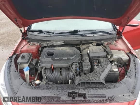 2019 Hyundai Sonata SEL with VIN 5NPE34AF7KH791396, listed as a Copart auction lot 81540315 with 108,759 mi miles and Salvage title. Bid and sale history available at DreamBid. Image 11.