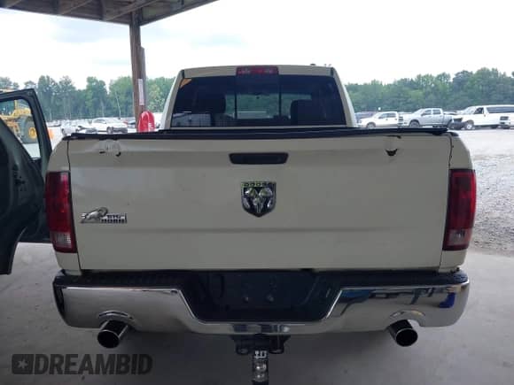 2010 Dodge 1500 SLT with VIN 1D7RB1GT3AS226617, listed as a IAAI auction lot 42873128 with 242,485 mi miles and . Bid and sale history available at DreamBid. Image 17.