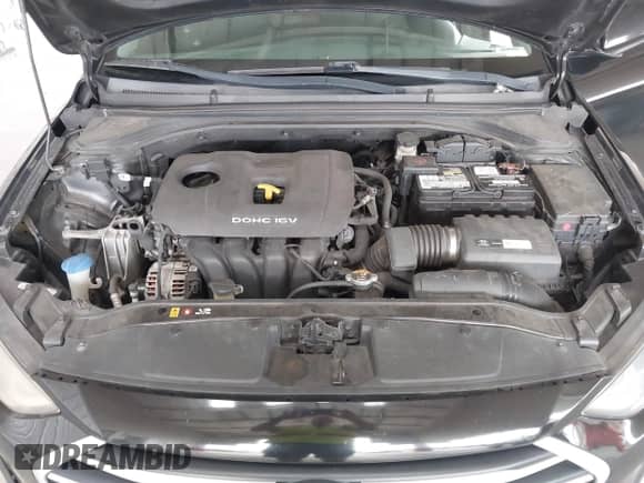 2017 Hyundai Elantra Limited with VIN 5NPD84LF1HH133155, listed as a IAAI auction lot 42401554 with 177,401 mi miles and . Bid and sale history available at DreamBid. Image 10.