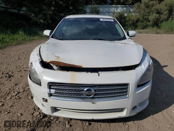 2014 Nissan Maxima S with VIN 1N4AA5AP4EC459375, listed as a Copart auction lot 80983355 with Not provided miles and Clean title. Bid and sale history available at DreamBid. Image 5.