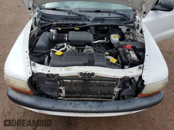 2004 Dodge Dakota Sport with VIN 1D7HG32NX4S603420, listed as a Copart auction lot 70382335 with 204,265 mi miles and Salvage title. Bid and sale history available at DreamBid. Image 11.