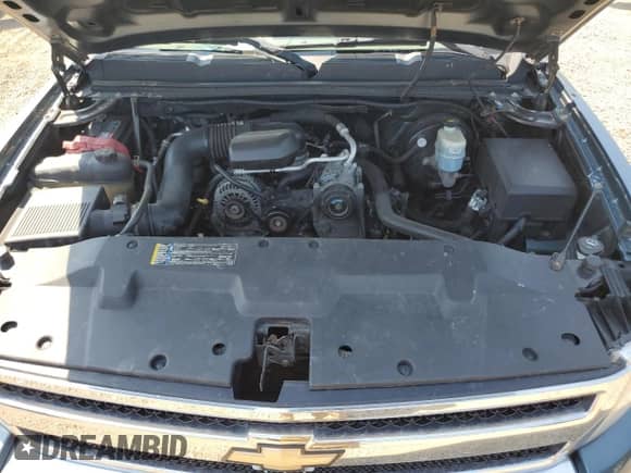 2009 Chevrolet Silverado 1500 Work Truck with VIN 1GCEC14X39Z200289, listed as a Copart auction lot 68200655 with Not provided miles and Salvage title. Bid and sale history available at DreamBid. Image 11.
