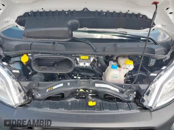 2024 Ram ProMaster Cargo Tradesman с VIN 3C6LRVAG3RE144908, выставлен на аукционе Copart как лот 64447025 с пробегом Не указан миль и Списание • Salvage title. История ставок и продаж доступна на DreamBid. Изображение 12.