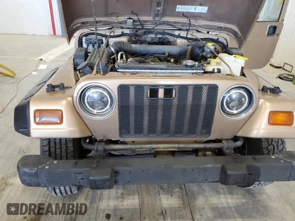 1999 Jeep Wrangler Sport with VIN 1J4FY19S6XP430964, listed as a Copart auction lot 85937775 with 109,444 mi miles and Clean title. Bid and sale history available at DreamBid. Image 11.