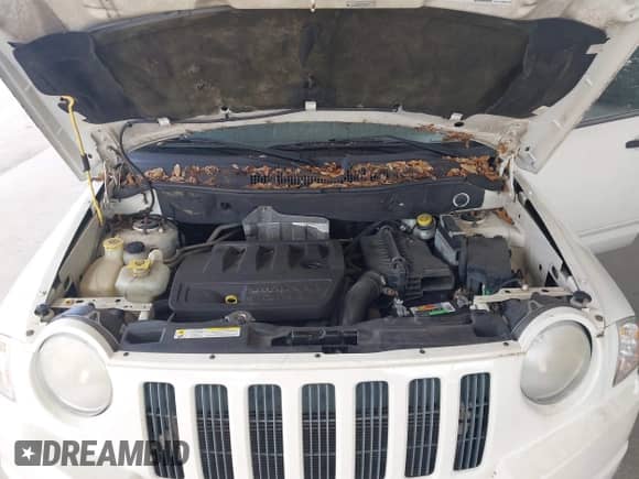 2008 Jeep Compass Sport with VIN 1J8FT47W78D661170, listed as a IAAI auction lot 43481804 with 179,362 mi miles and . Bid and sale history available at DreamBid. Image 10.